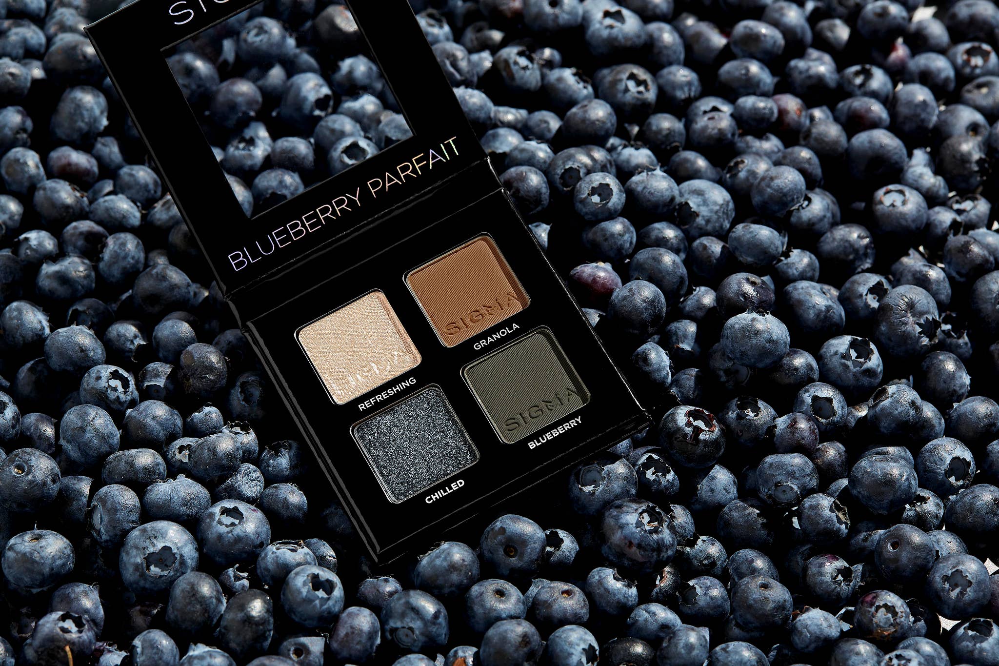 Blueberry Parfait Eyeshadow
Quad