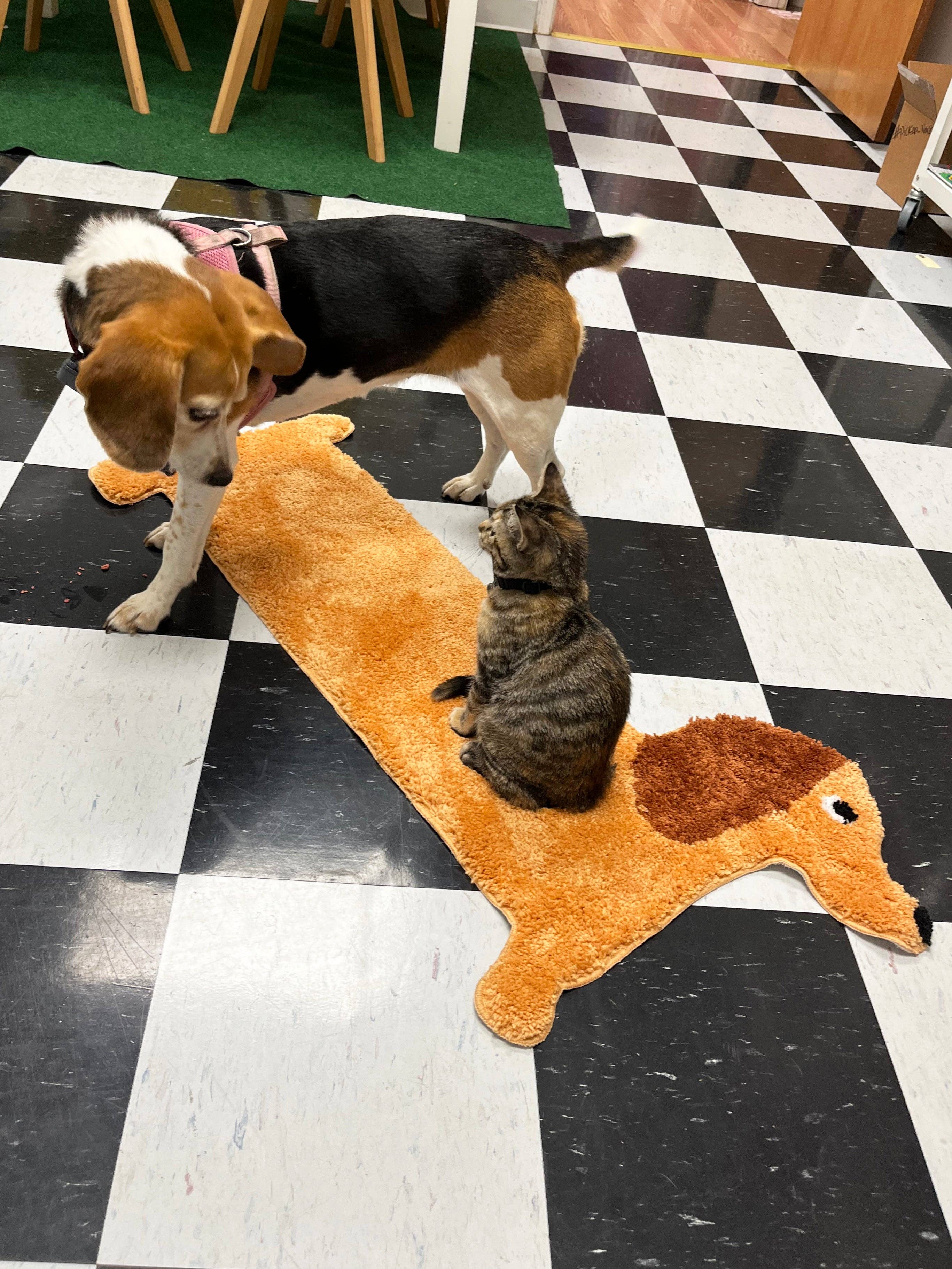 Dachshund Design Polyester Door Mat