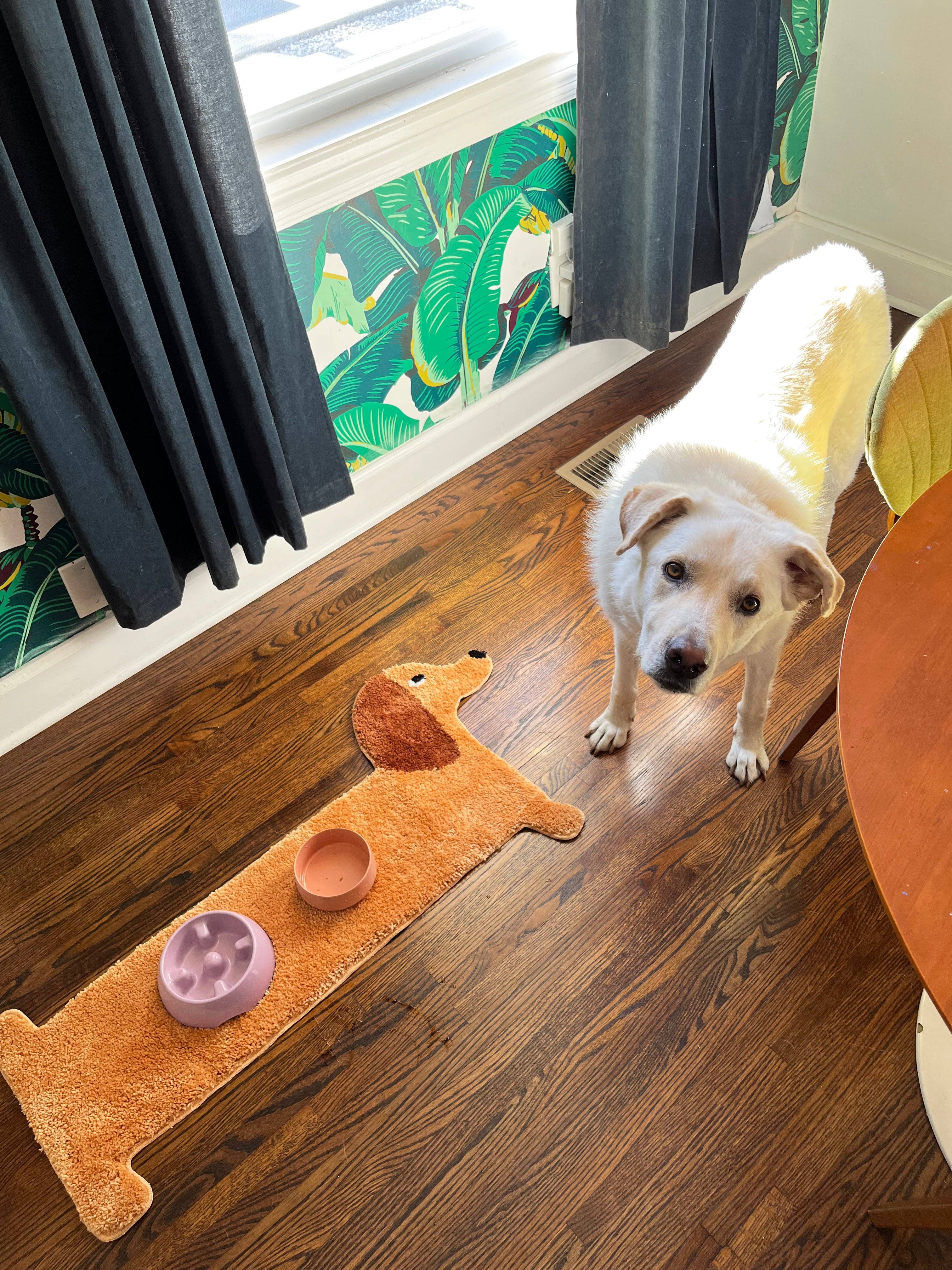 Dachshund Design Polyester Door Mat
